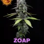 Семена конопли Zoap от Barney's Farm